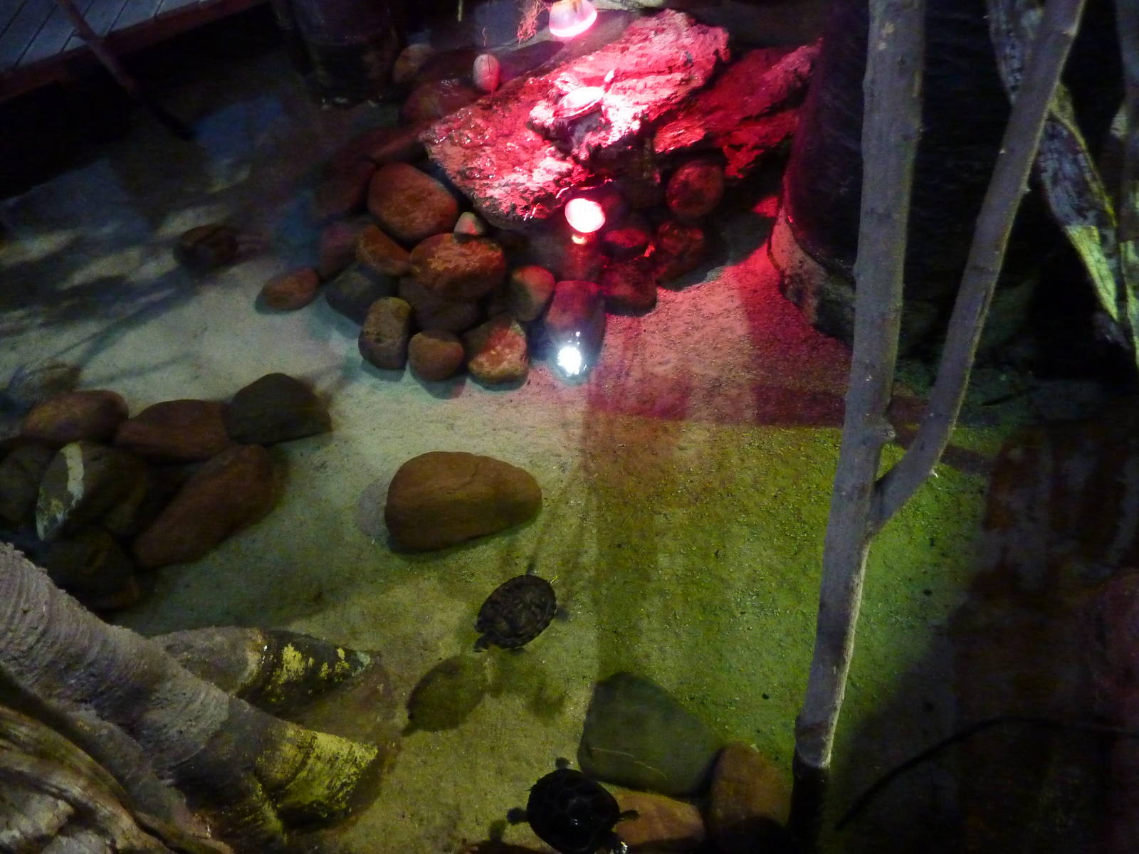 Terrapin pool, 10th April 2012