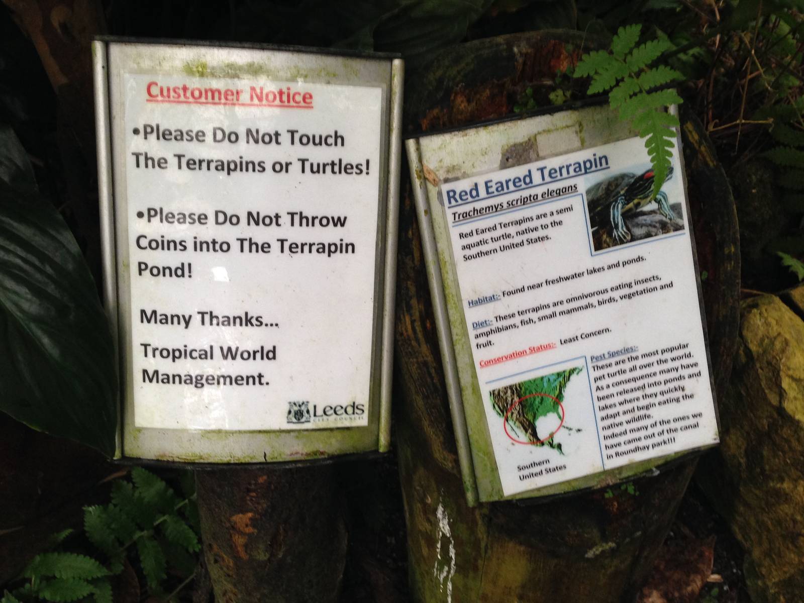 Terrapin Signage at Tropical World - 02/10/2013