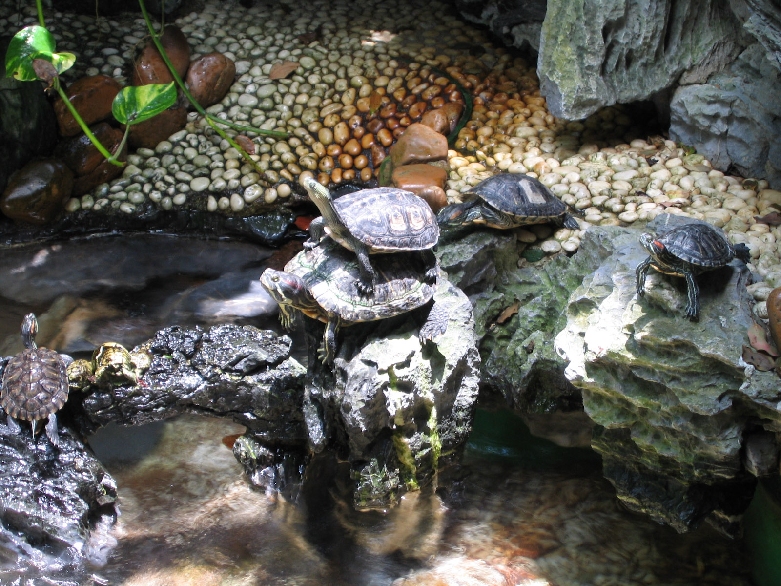 Terrapin stack - Jul 2003