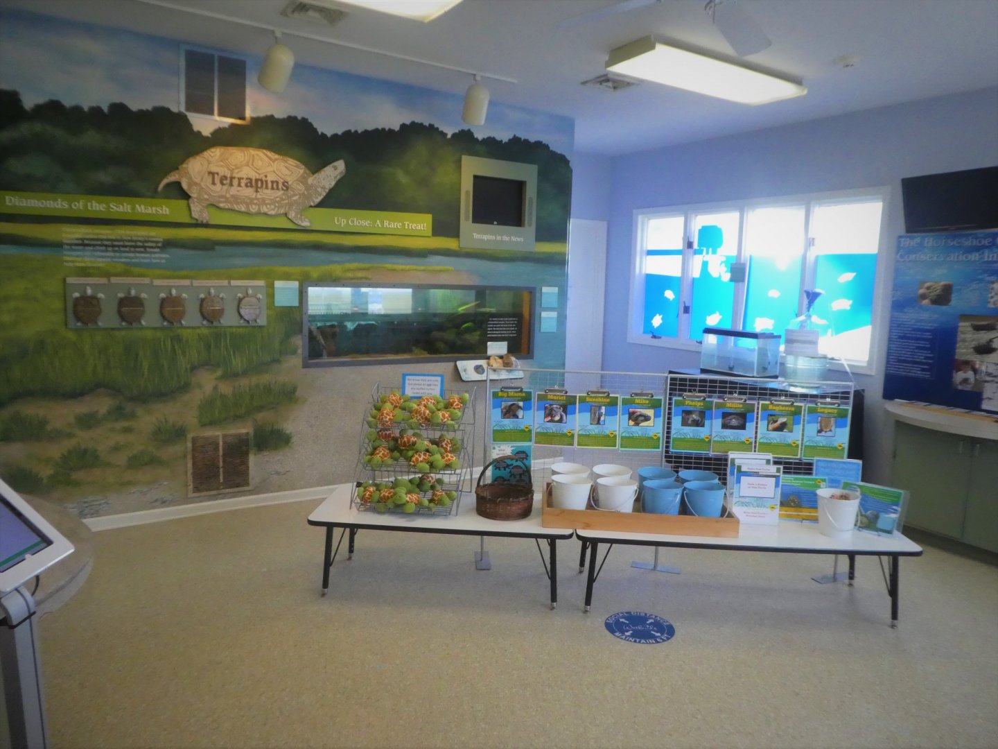 Terrapin Station - General View