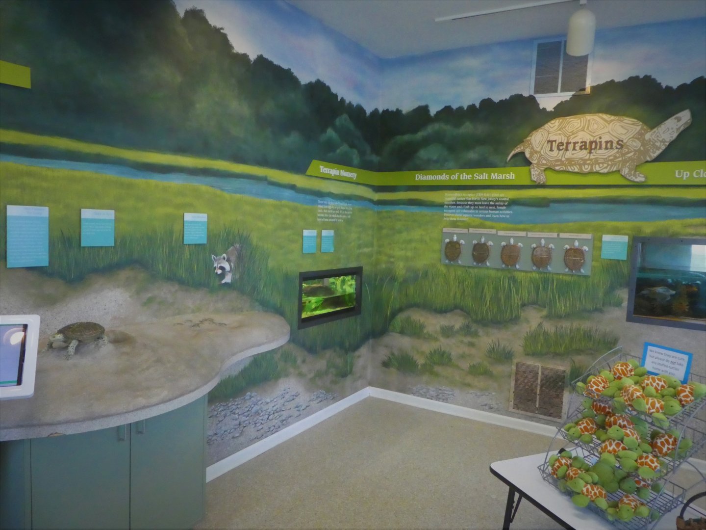 Terrapin Station - General View