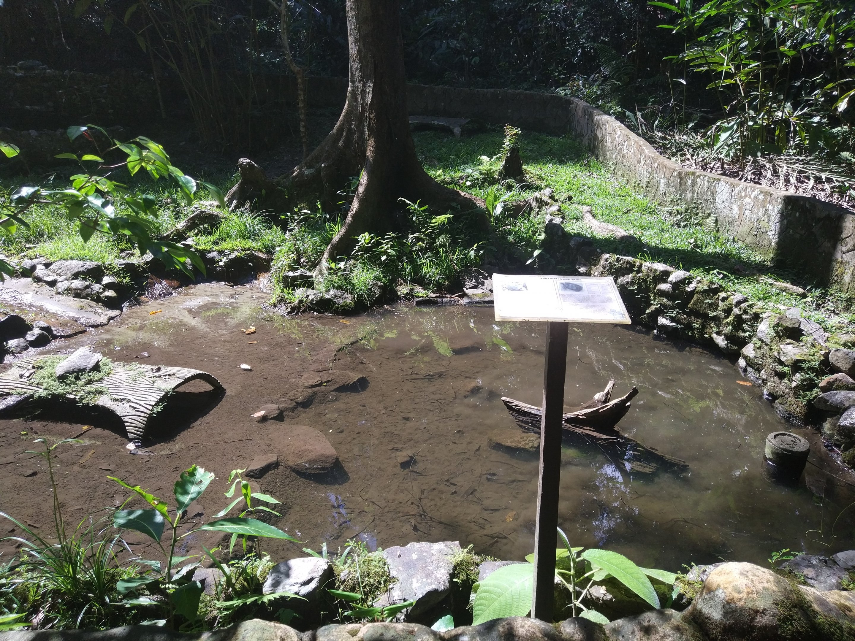 Terrapin/turtle exhibit  - Tropical Garden