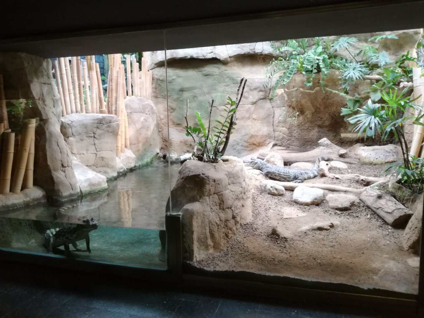 Terrari (reptile house)