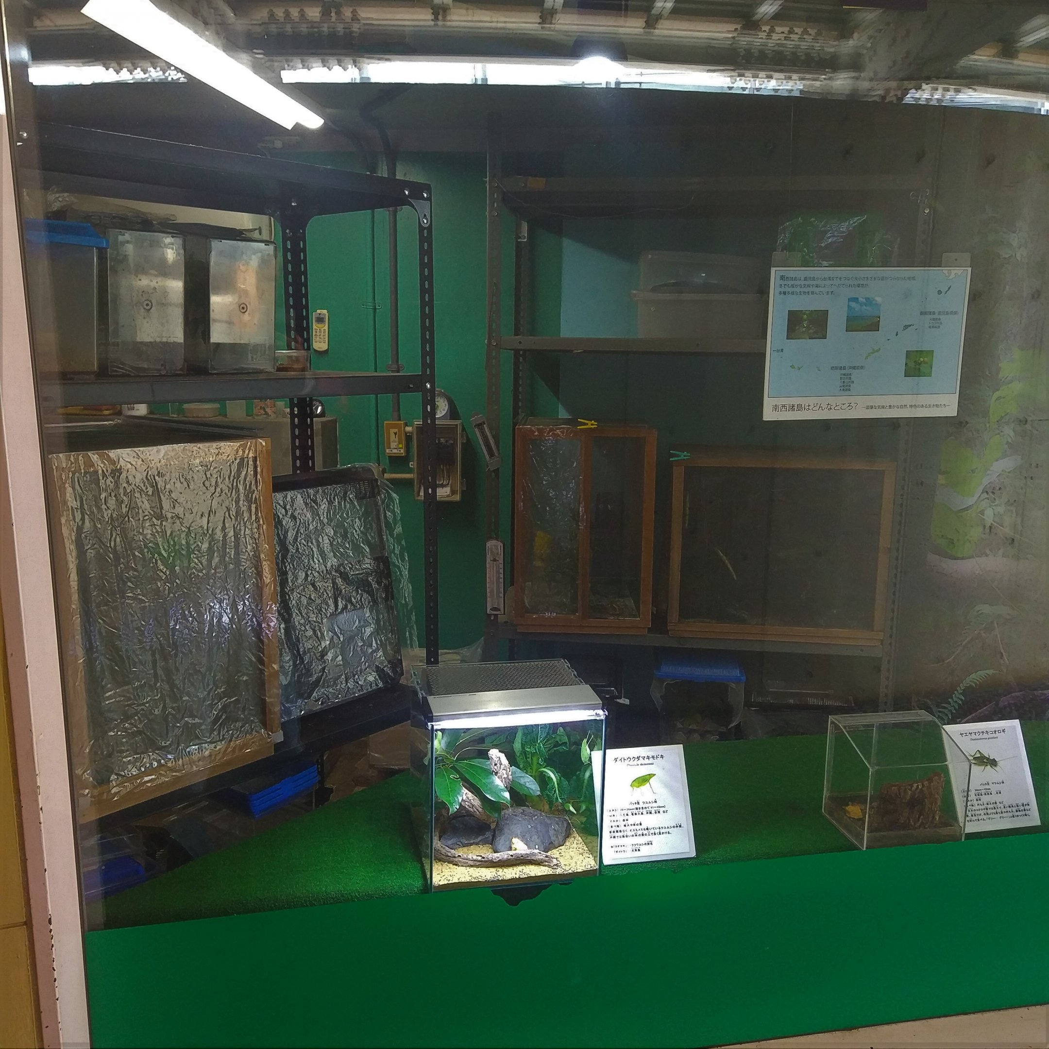 Terraria and 'Back of House' View