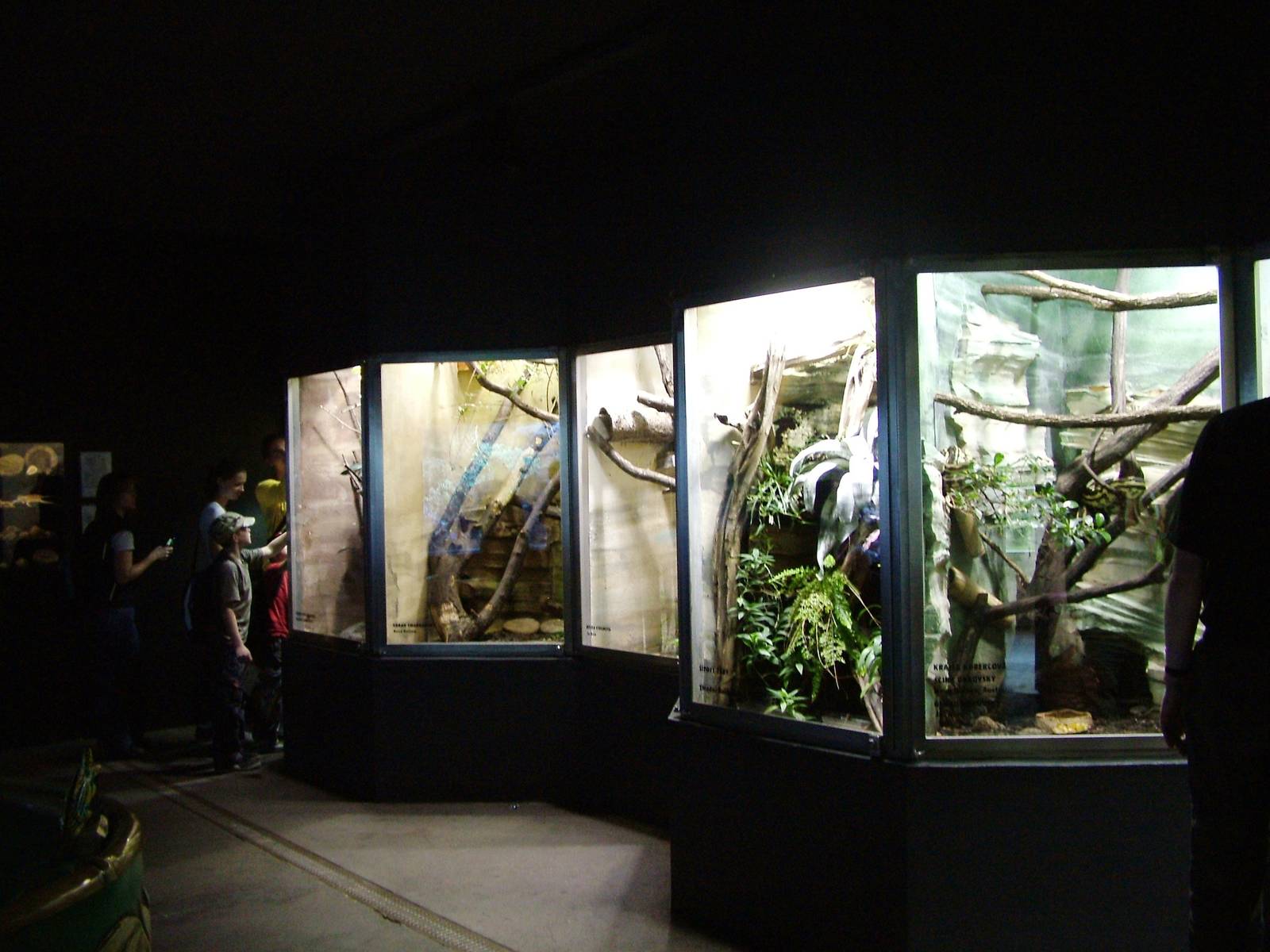 Terraria at Dvur Kralove, 27/08/12