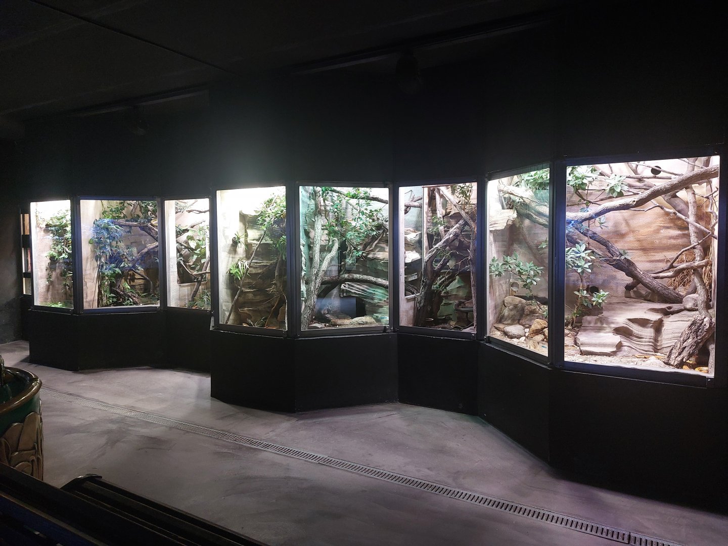 Terraria for assorted African venomous snakes