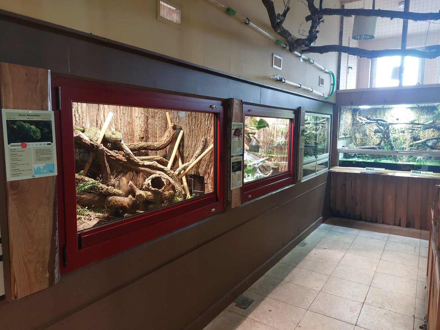 Terraria in orangutan house