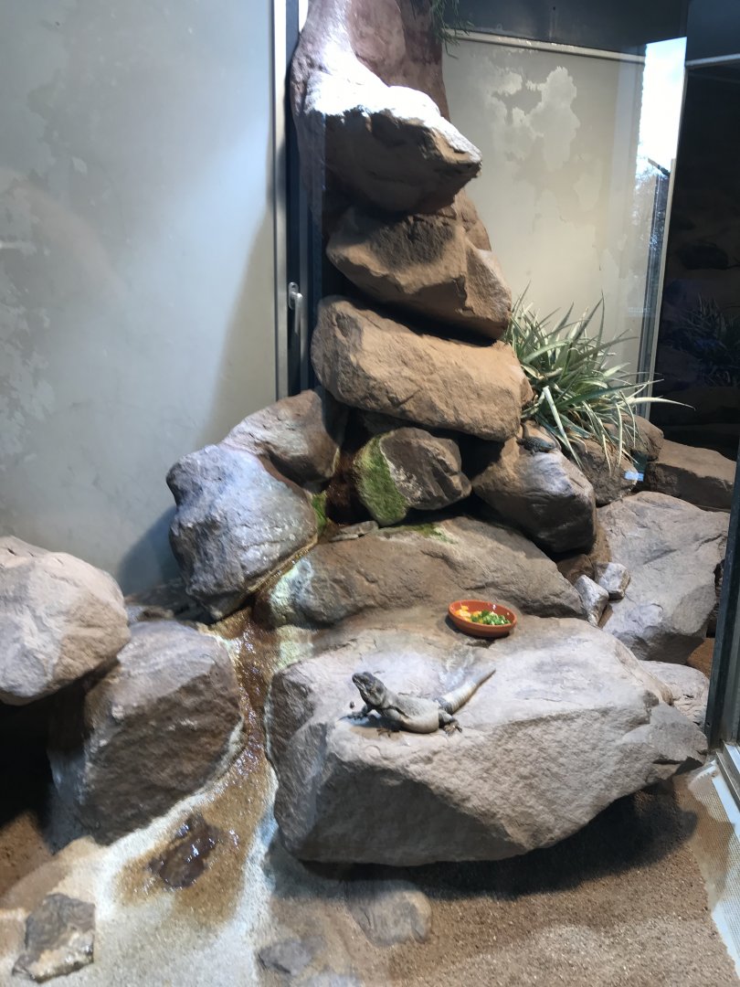 Terrarien example 011218