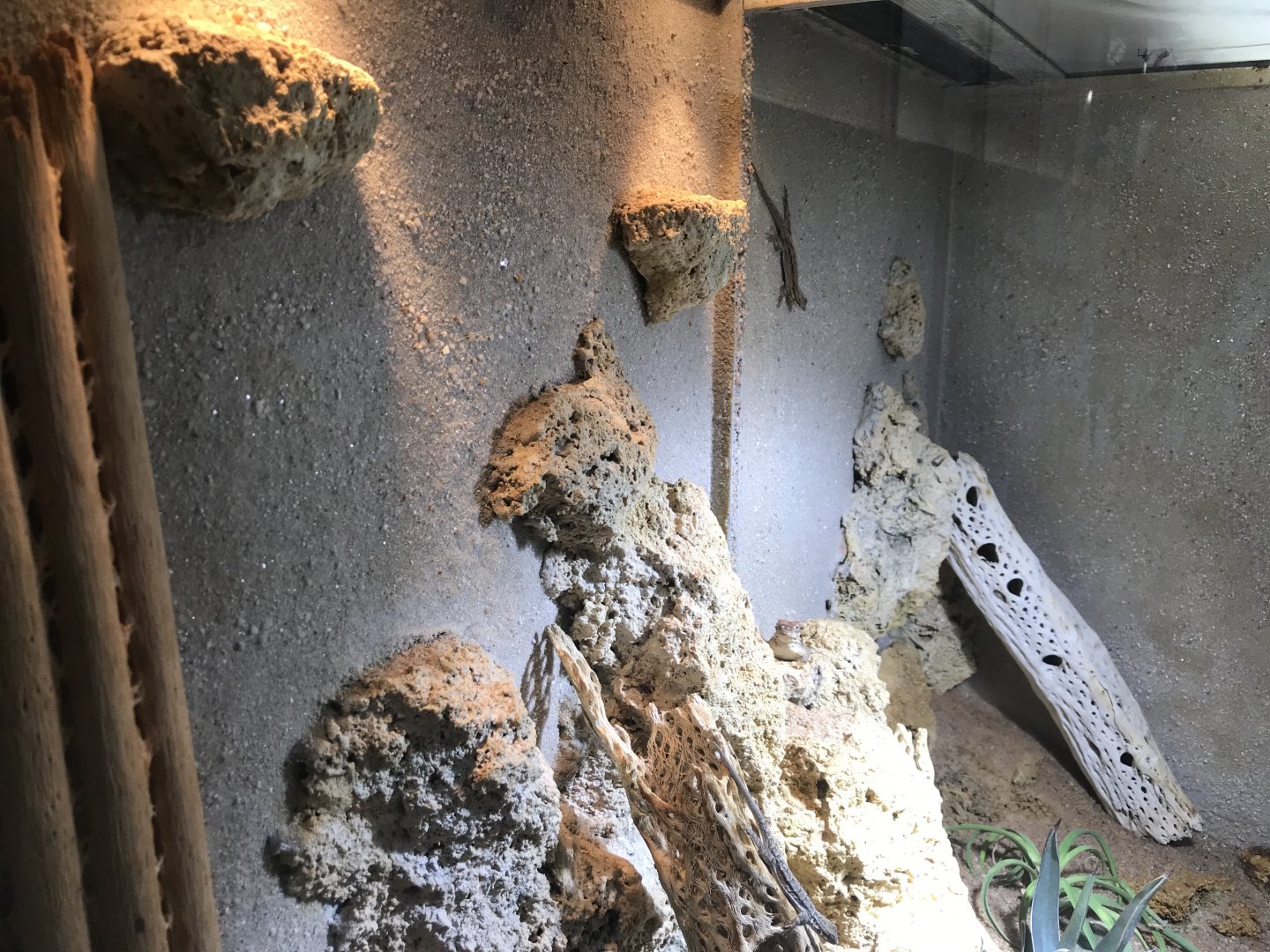 Terrarien - example terrarium 011218