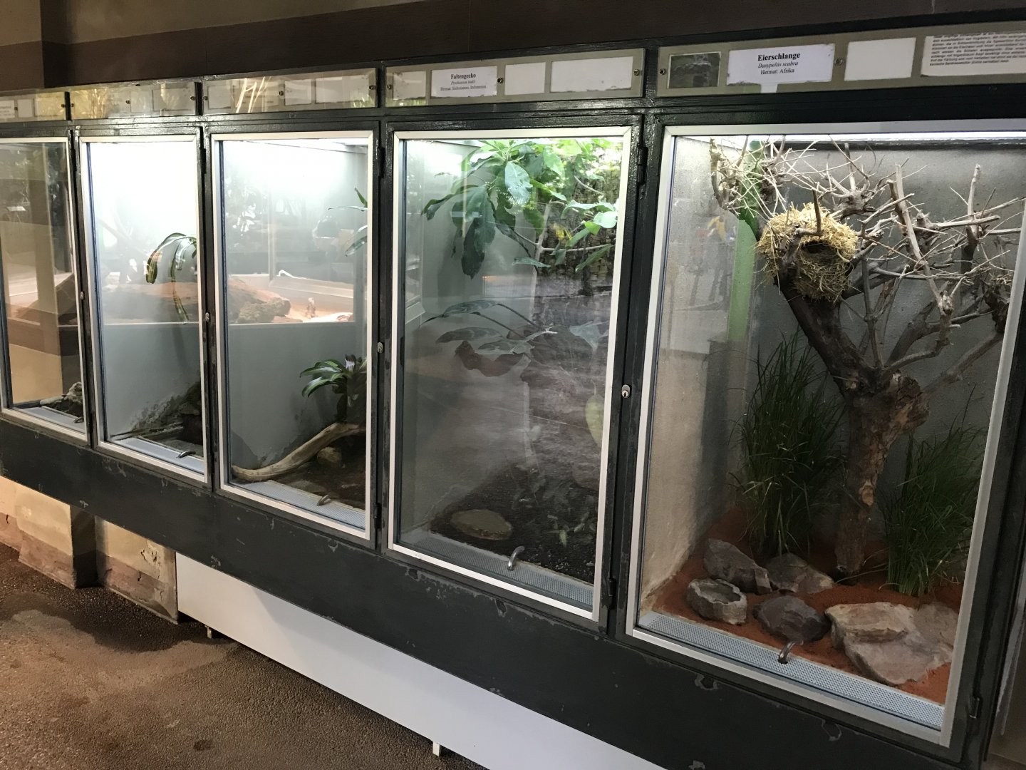 Terrarien - various terraria 011218