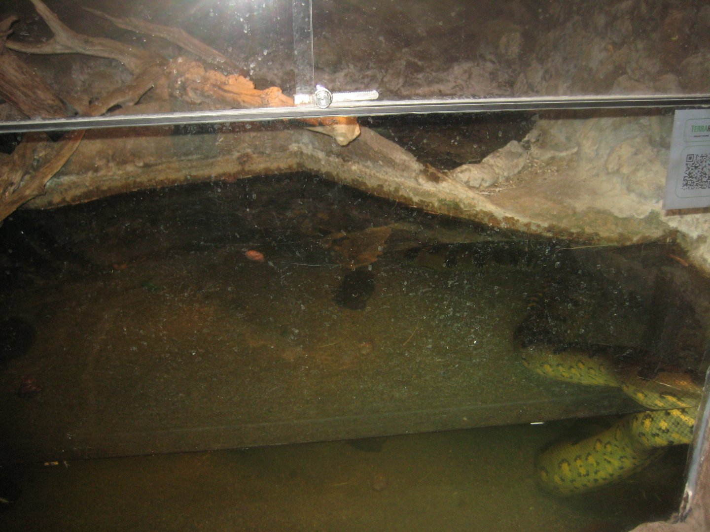 Terrariet Vissenbjerg - Anaconda exhibit