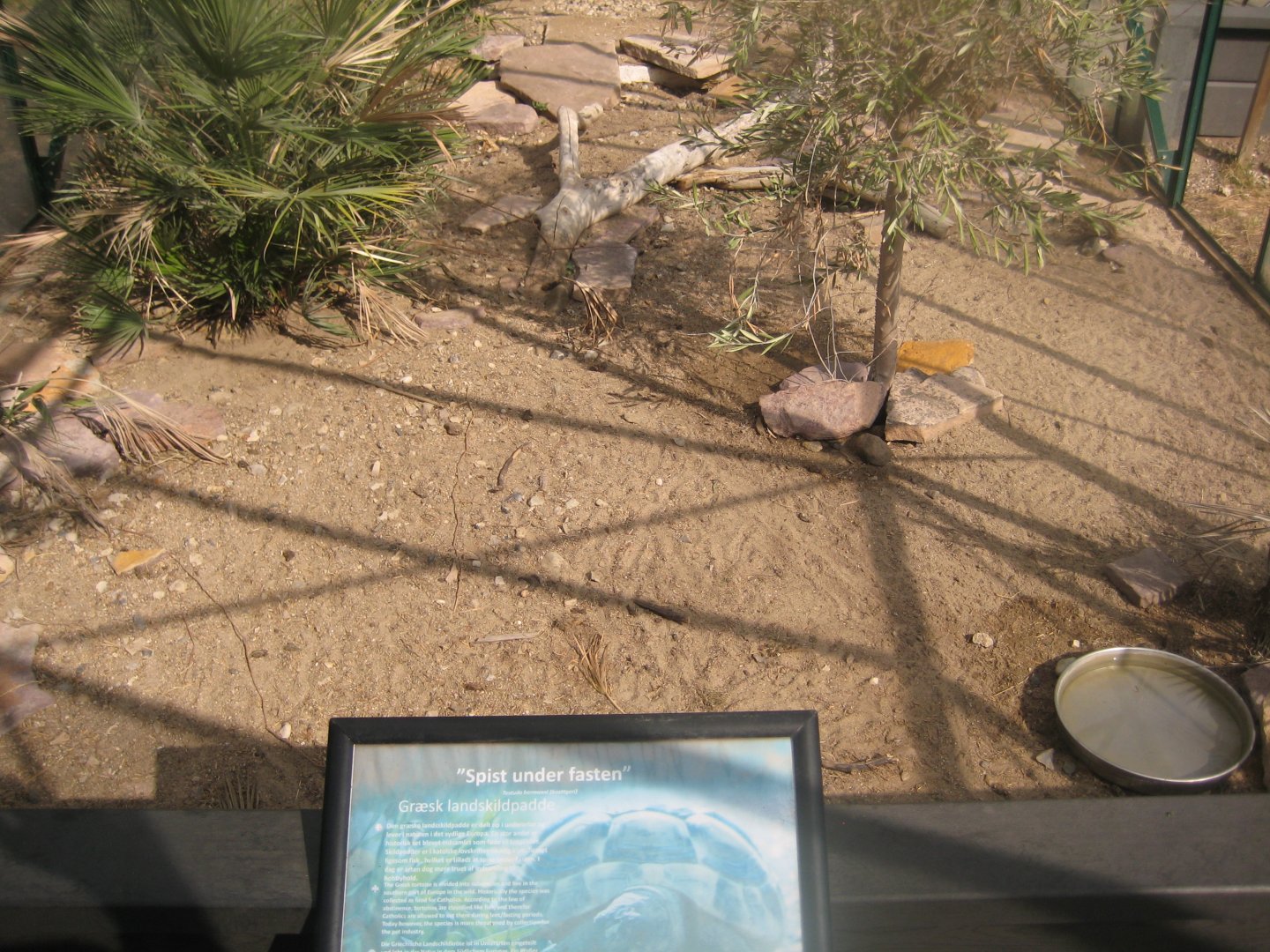 Terrariet Vissenbjerg - Euarium - Hermann's tortoise exhibit