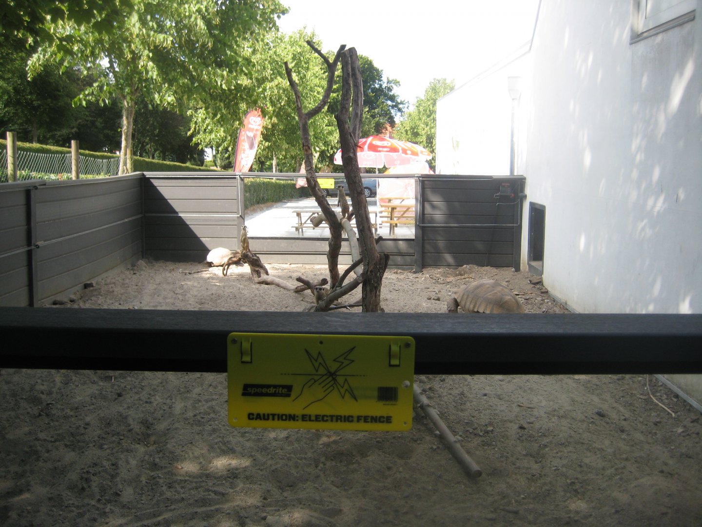 Terrariet Vissenbjerg - Euarium - Meerkat/tortoise exhibit (outdoor)