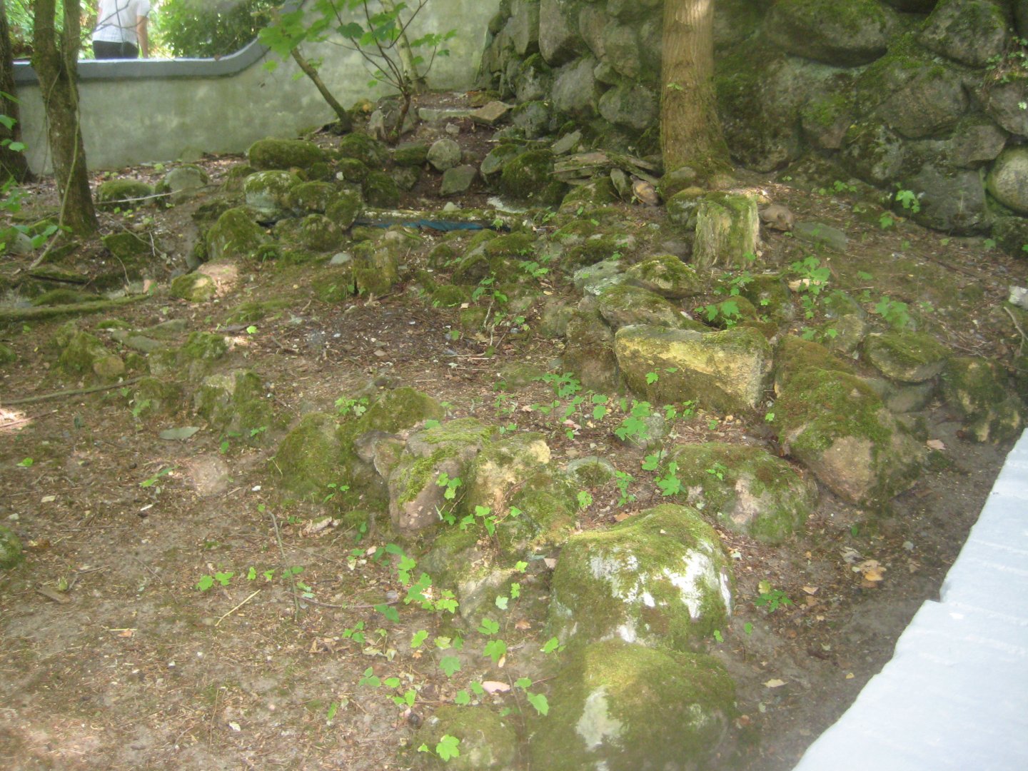 Terrariet Vissenbjerg - Euarium - North American exhibit