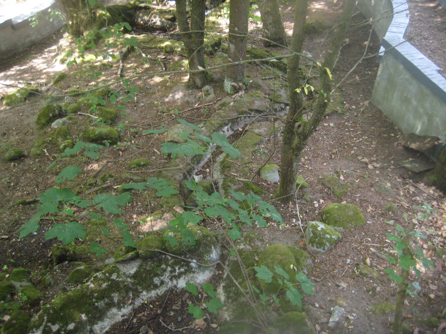 Terrariet Vissenbjerg - Euarium - North American exhibit