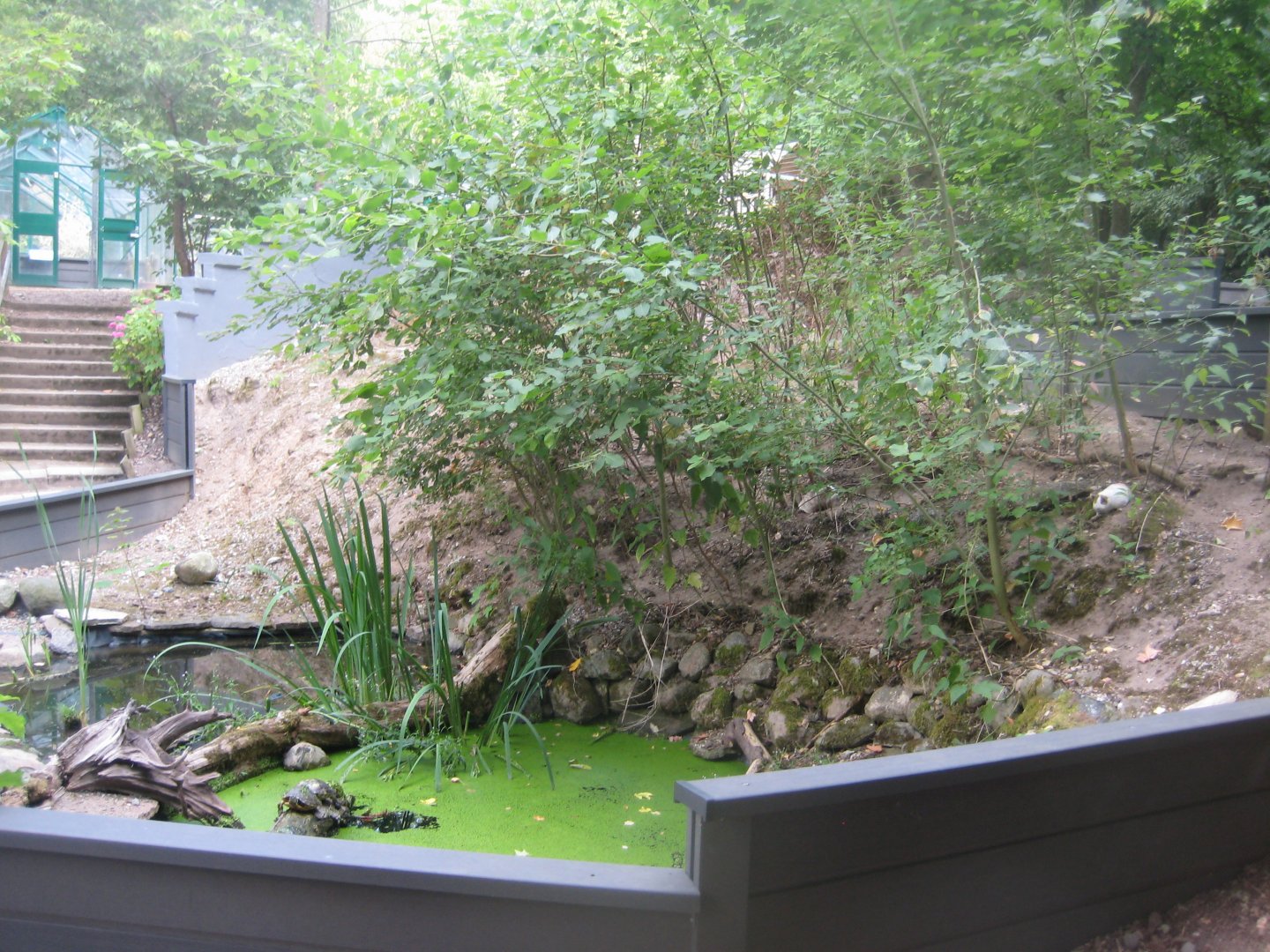 Terrariet Vissenbjerg - Euarium - Red-eared slider exhibit