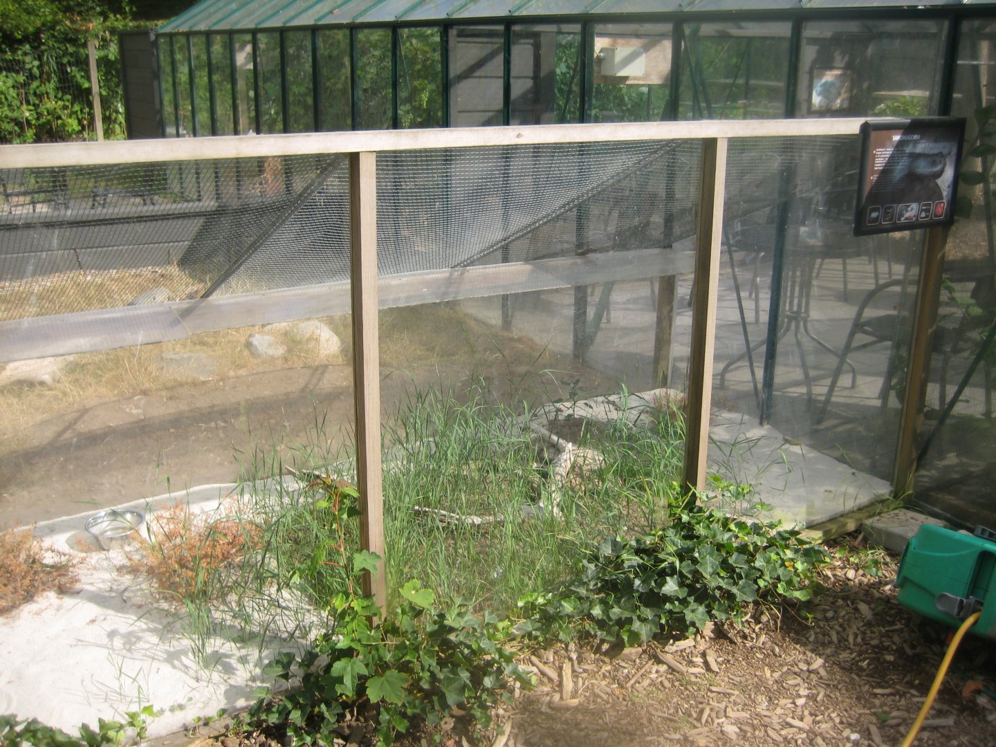 Terrariet Vissenbjerg - Euarium - Sand viper exhibit