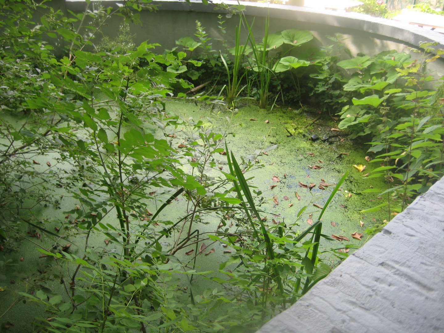 Terrariet Vissenbjerg - Euarium - Snake/turtle exhibit