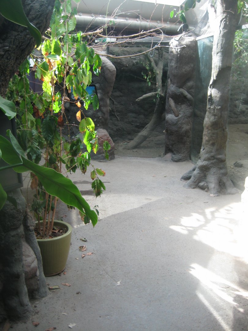 Terrariet Vissenbjerg - Southeast Asia - General view