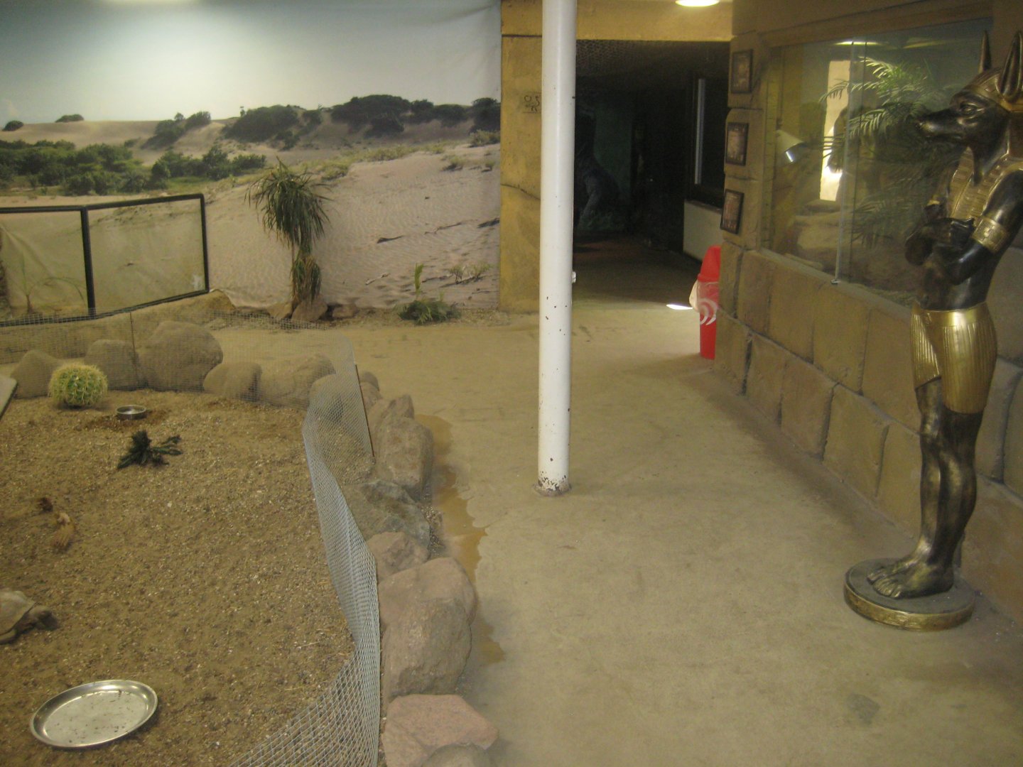 Terrariet Vissenbjerg - The desert - General view