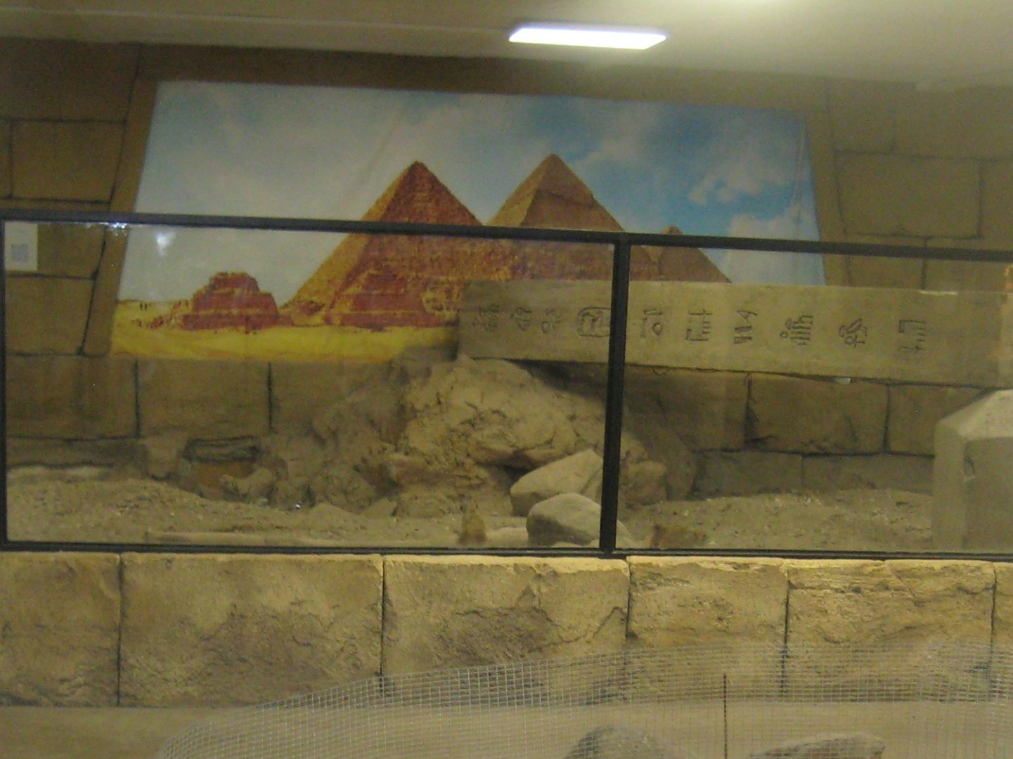 Terrariet Vissenbjerg - The desert - Meerkat/tortoise exhibit (indoor)