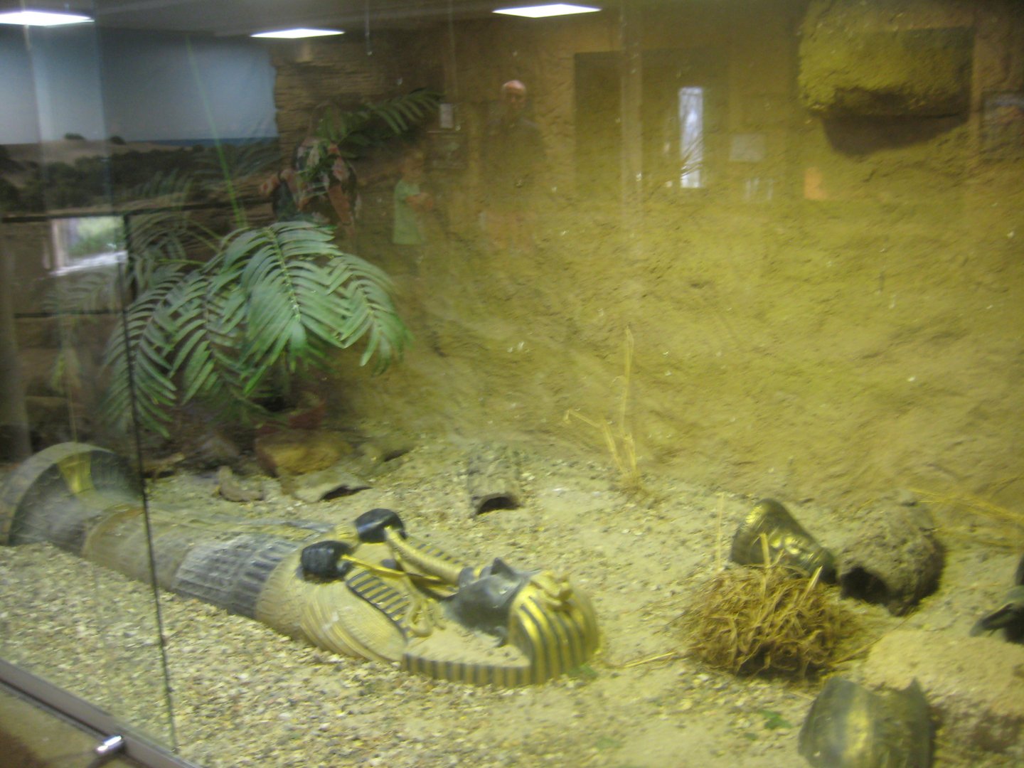 Terrariet Vissenbjerg - The desert - Mixed exhibit