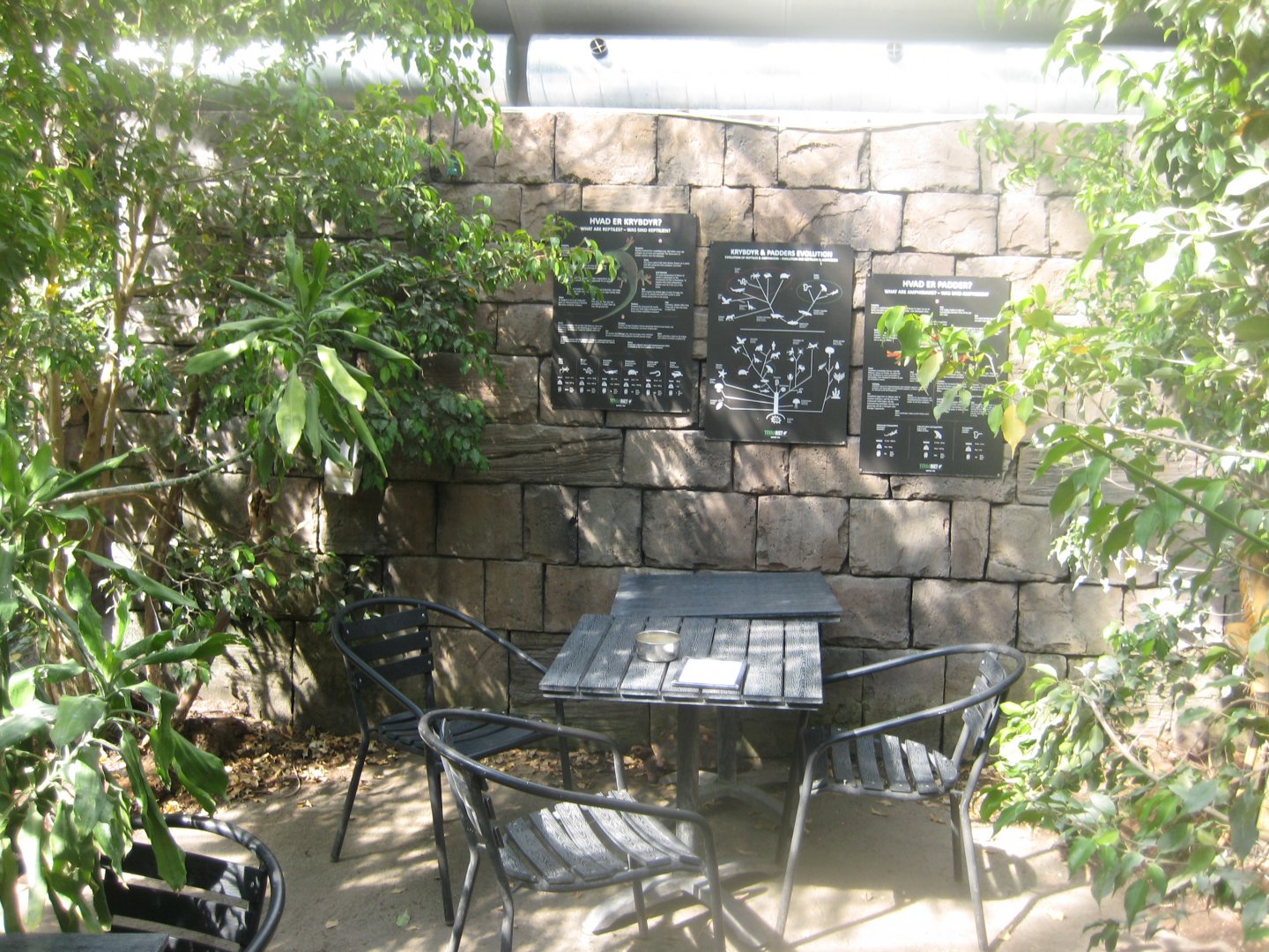 Terrariet Vissenbjerg - The rainforest - General view