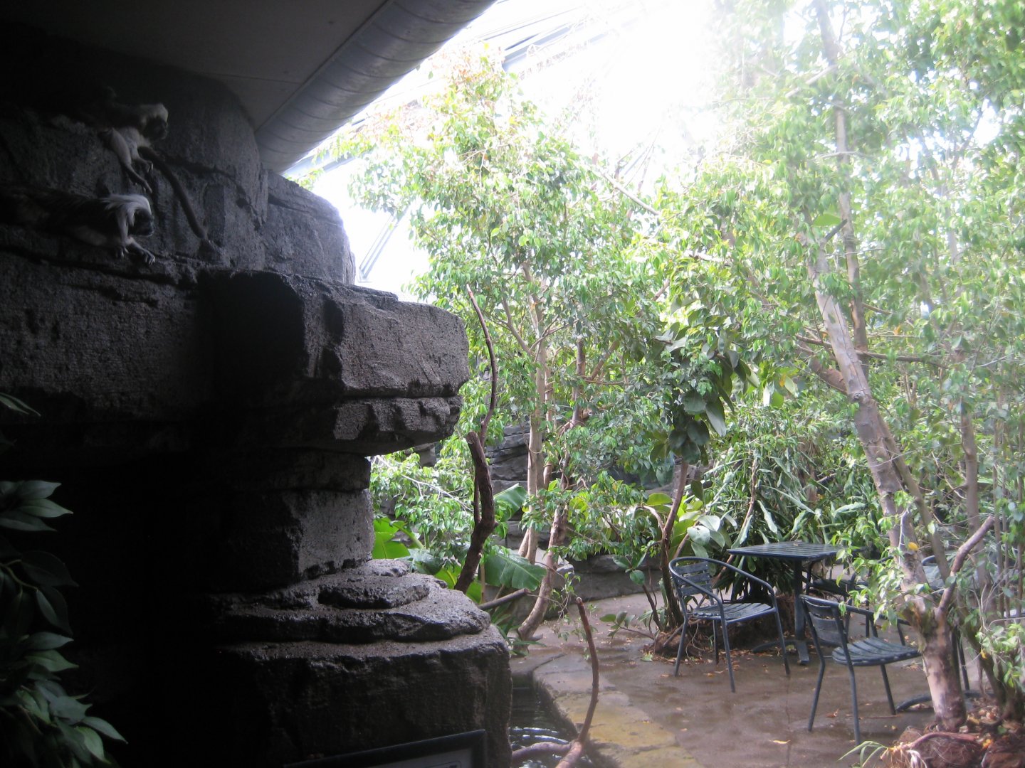 Terrariet Vissenbjerg - The rainforest - General view