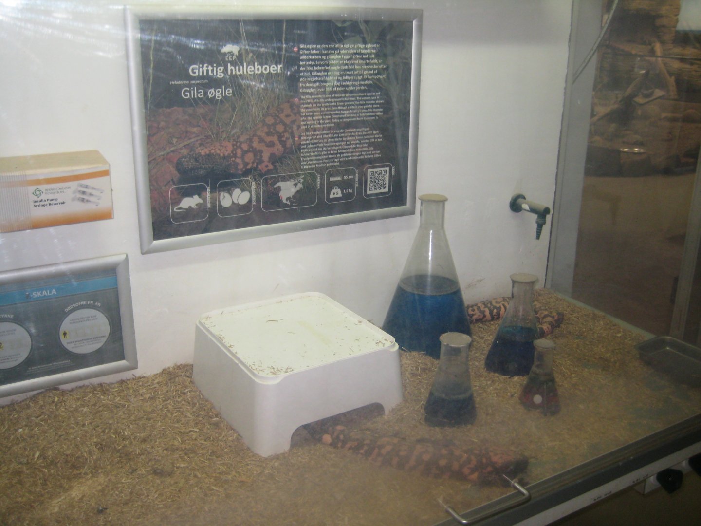Terrariet Vissenbjerg - The venom lab - Gila monster exhibit