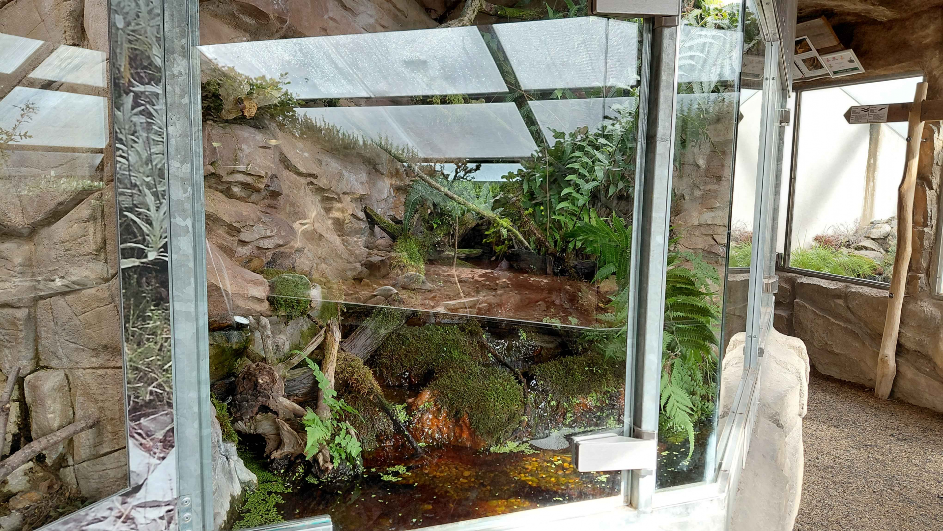 Terrarium - amphibian exhibit