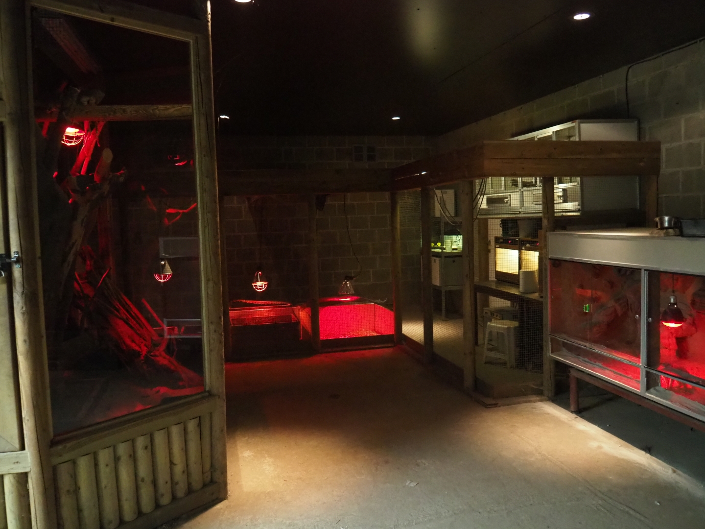 Terrarium and bird raising room (Aug 28th, 2018)