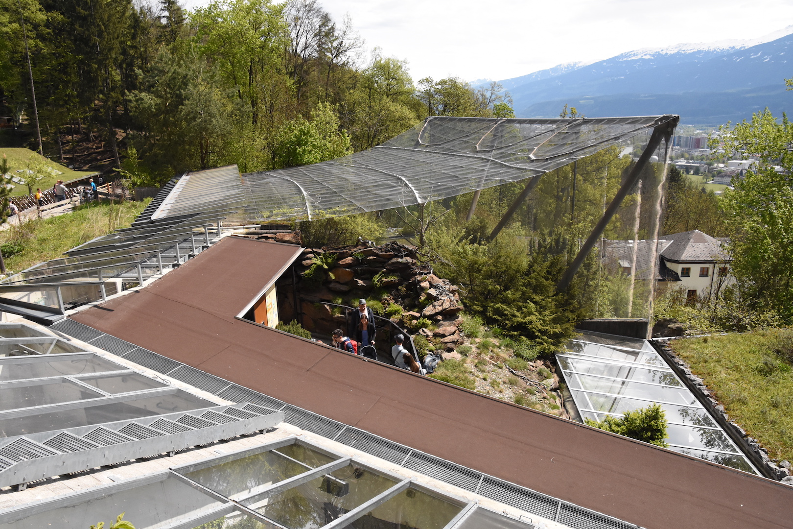 Terrarium and Waldrapp aviary