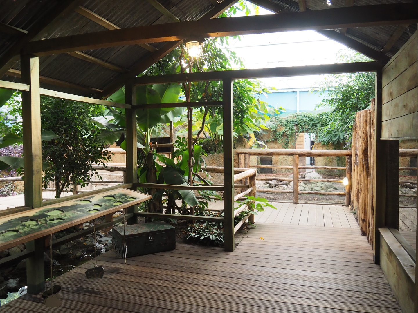 Terrarium area, 2022-10-09