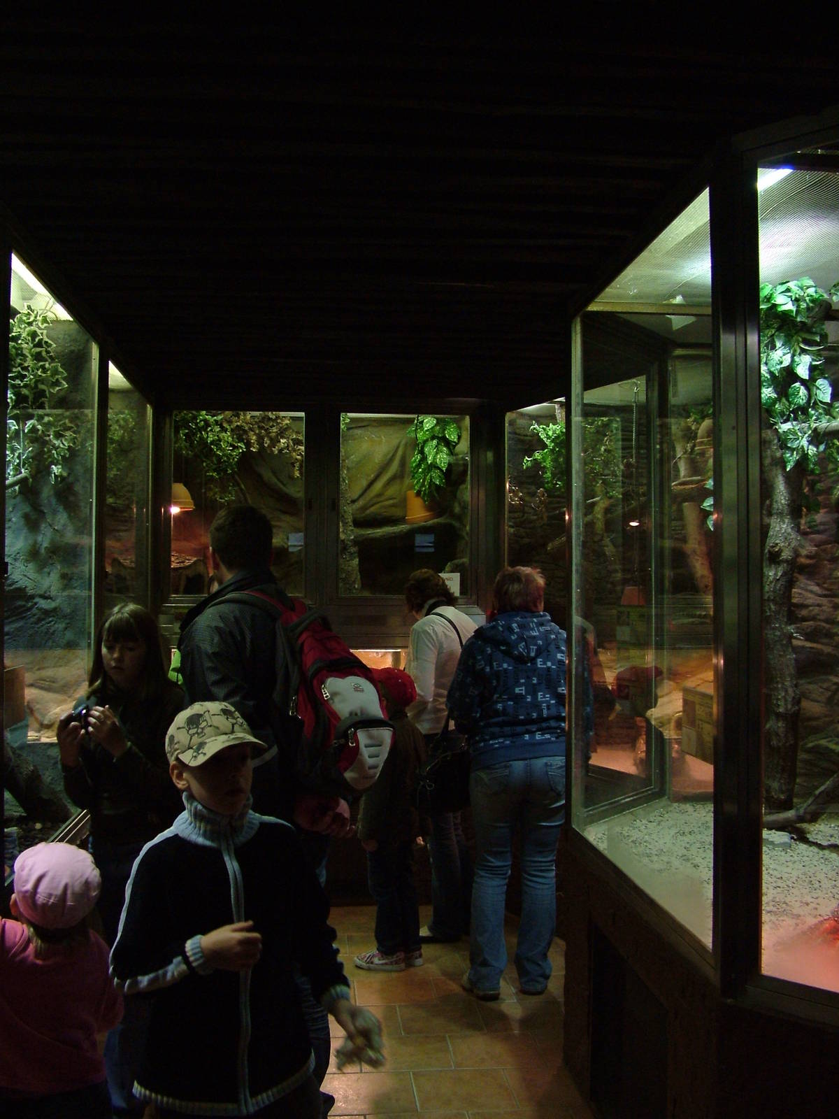 Terrarium at Olomouc 30/05/09