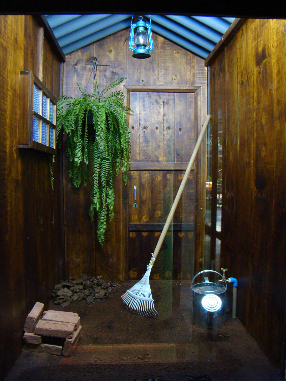 Terrarium Bothrops jararaca