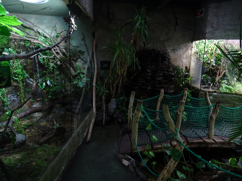 Terrarium building; Frog enclosures