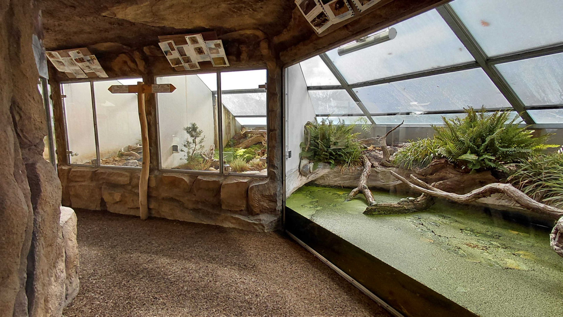 Terrarium building - general view