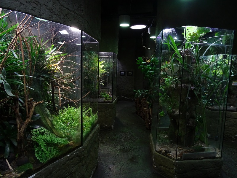 Terrarium building (species list in reply)