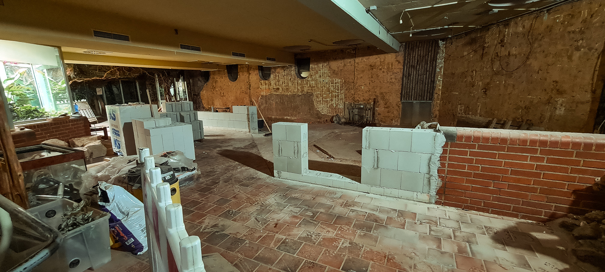 Terrarium construction progress