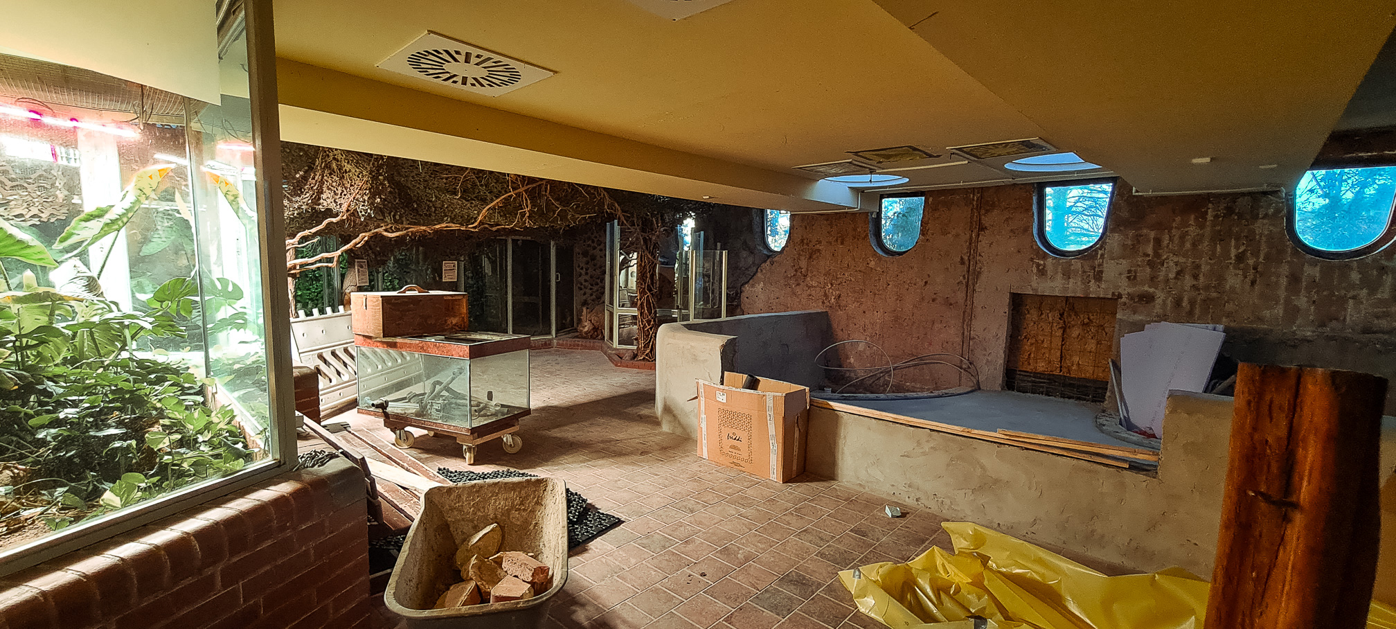 Terrarium construction progress