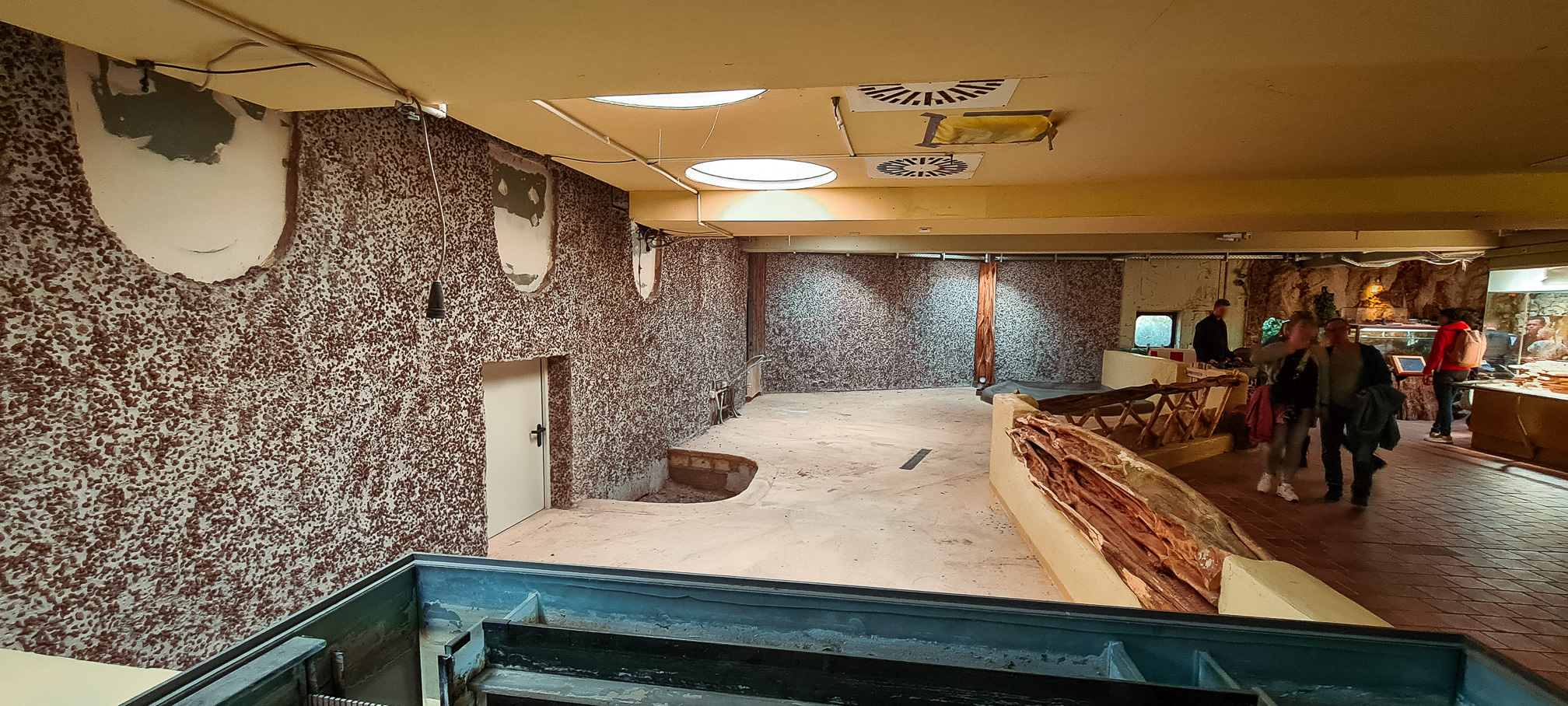 Terrarium construction progress