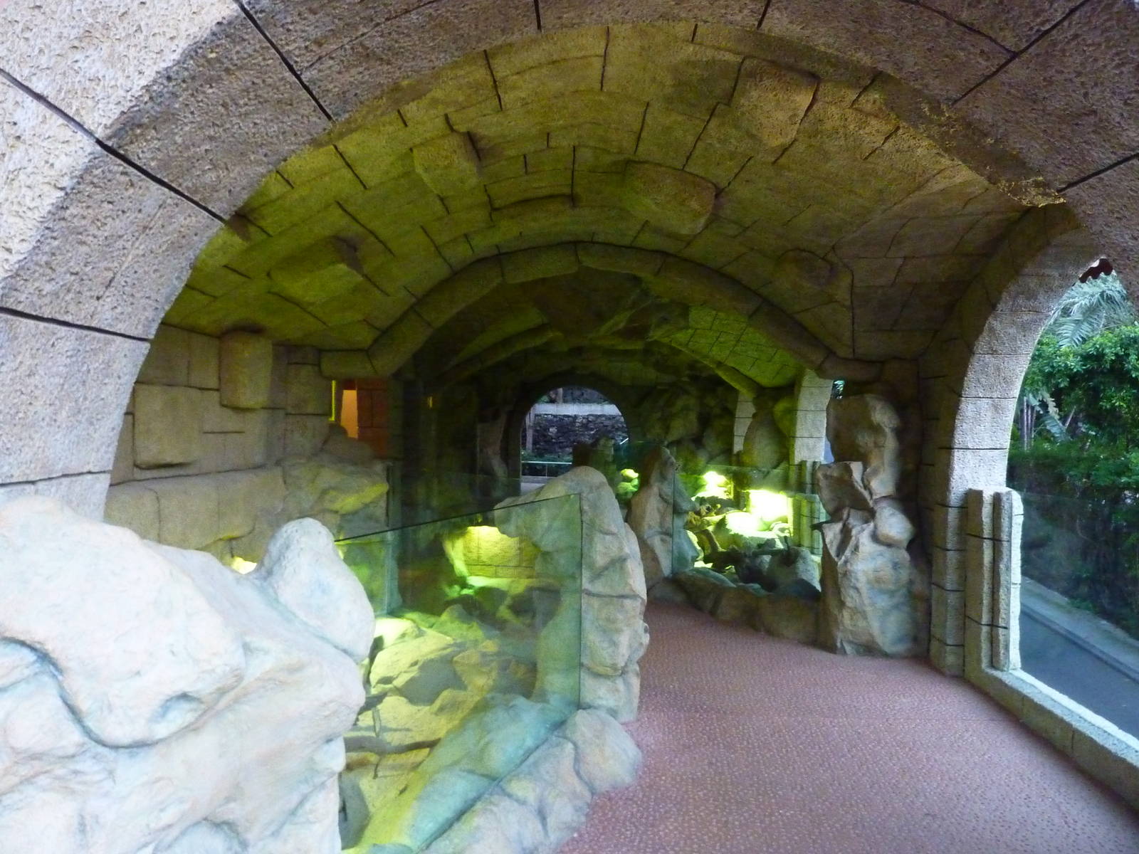 Terrarium, December 2012