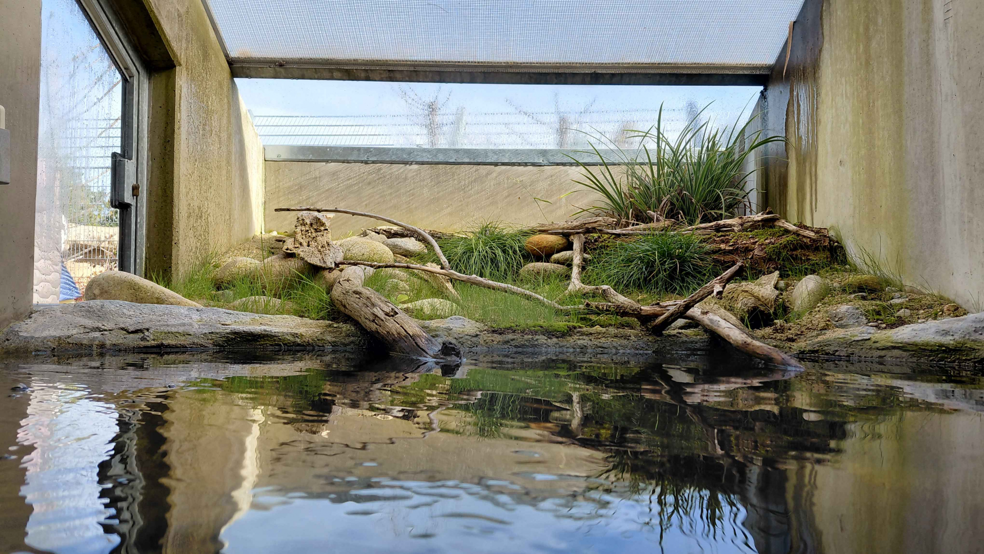 Terrarium - dice snake exhibit