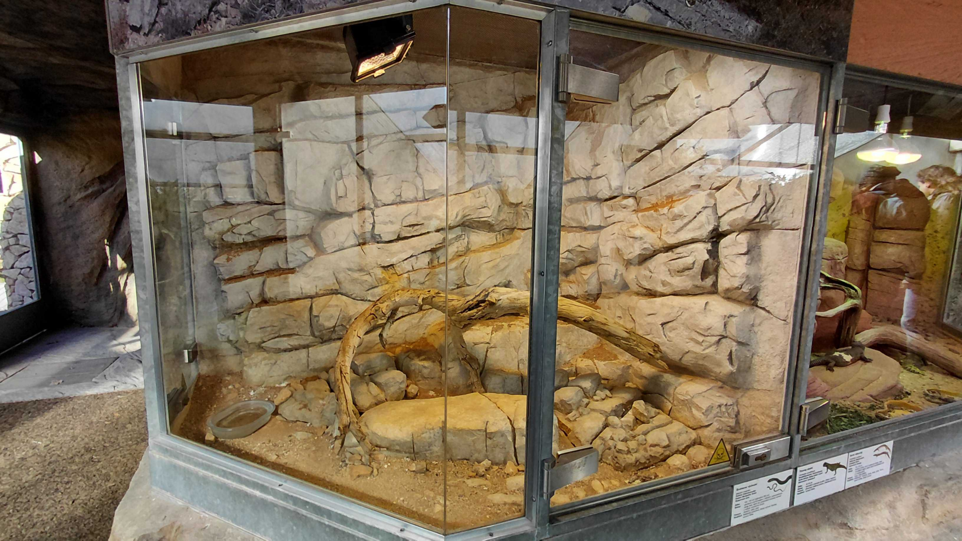 Terrarium - Eastern Montpellier snake exhibit