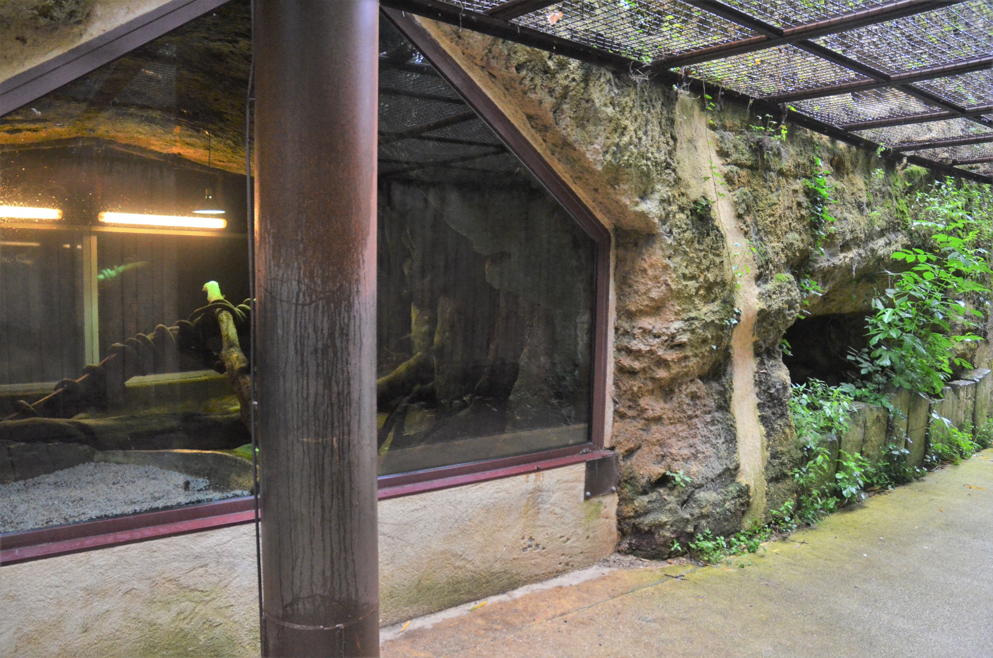 Terrarium External Viewing at Doué-la-Fontaine, 15/06/18