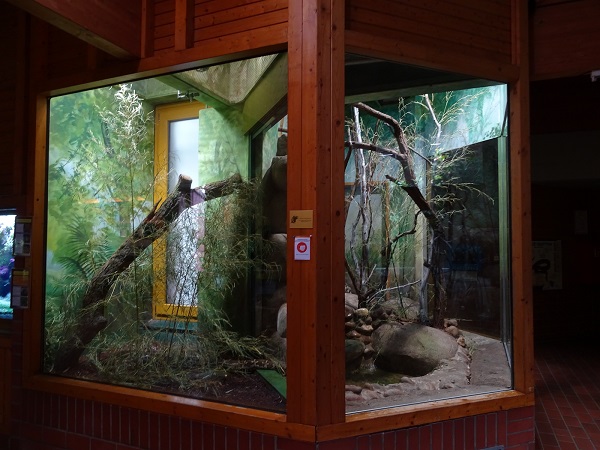 Terrarium for Burmese python (07/22)