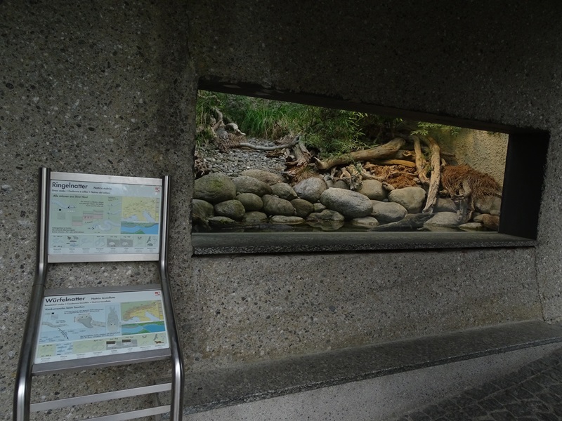 Terrarium for grass snake and dice snake