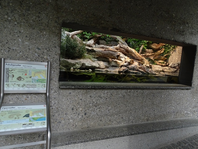 Terrarium for viperine water snake and aesculapian snake