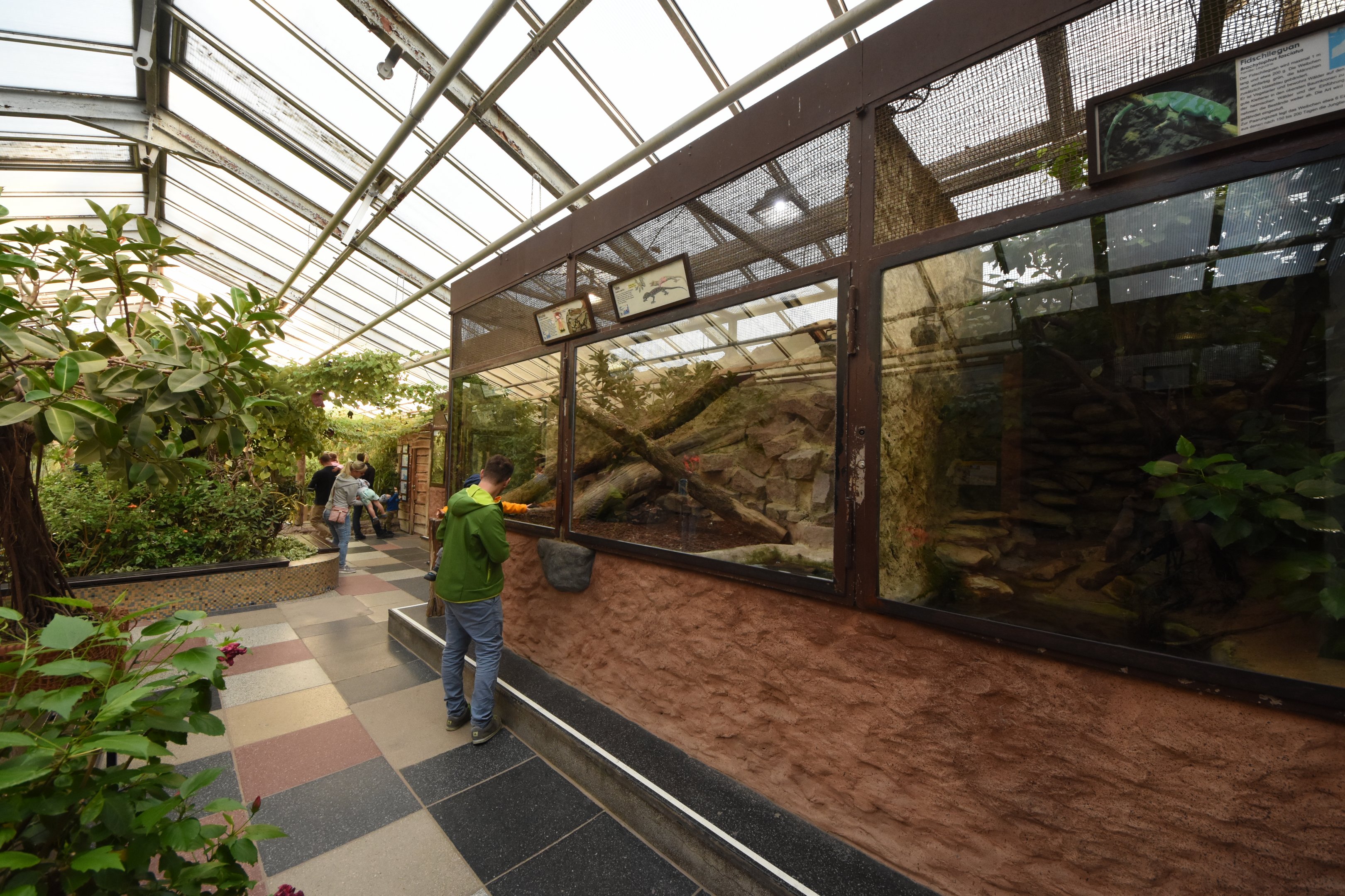 Terrarium - general overview