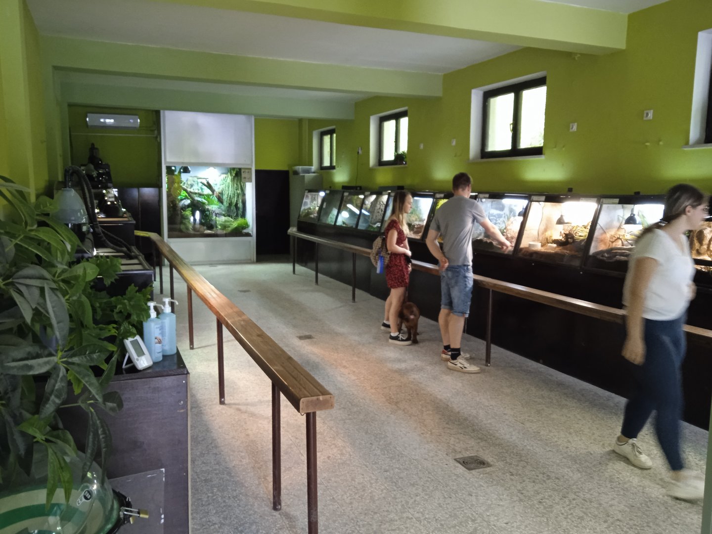 Terrarium, general view